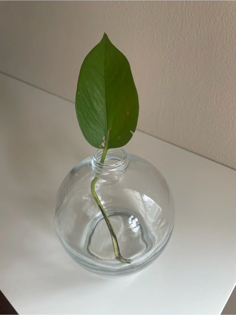 Glass Ball Soap Dispenser